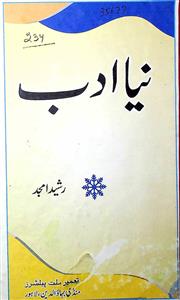 نیا ادب 